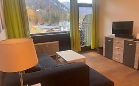 Dachstein 529